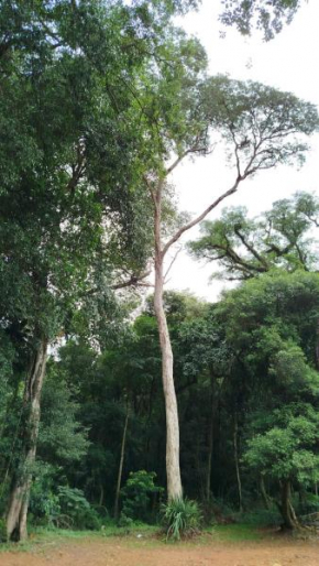 La Reserva